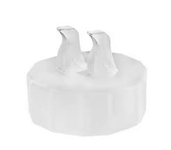 Pinguin auf Eisscholle